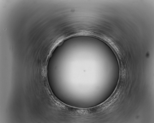 X0000100861097200806271154