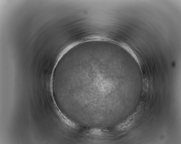 X0000100861098200806271154