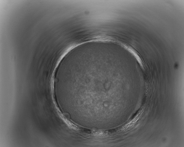 X0000100861099200806271154