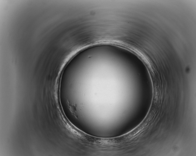 X0000100861102200806271154