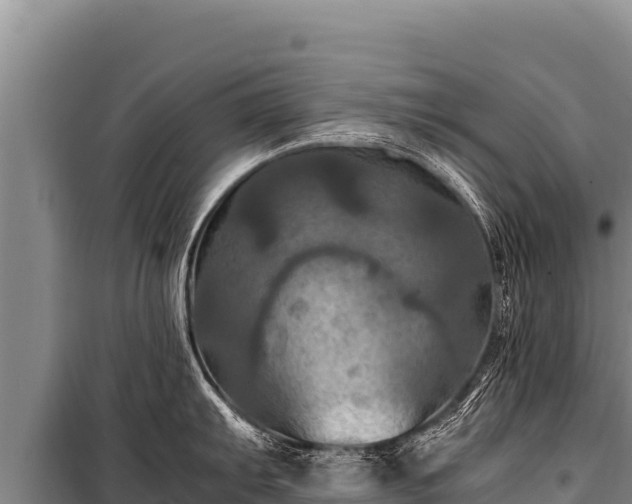 X0000100861103200806271154