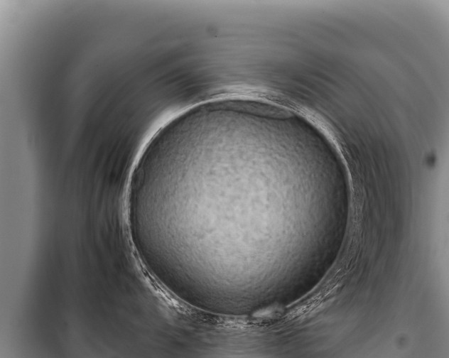 X0000100861104200806271154