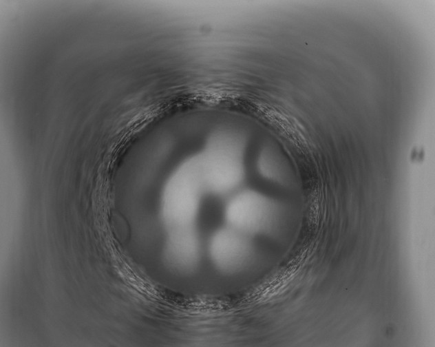 X0000100861105200806271153