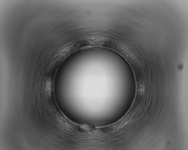 X0000100861108200806271153