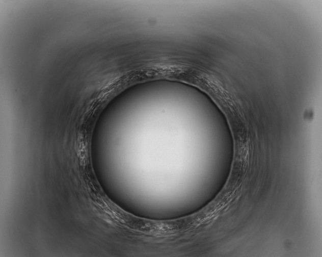 X0000100861109200806271153