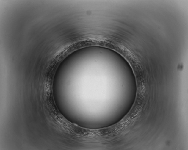 X0000100861110200806271153