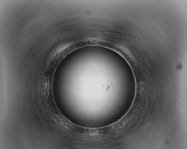 X0000100861111200806271153