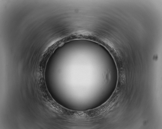 X0000100861112200806271153