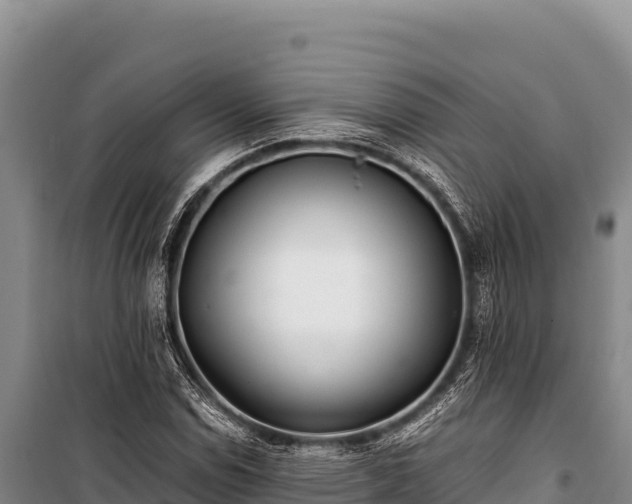 X0000100861114200806271153