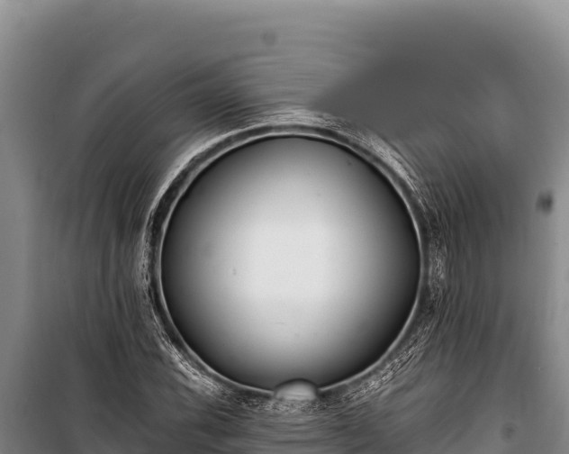 X0000100861116200806271153