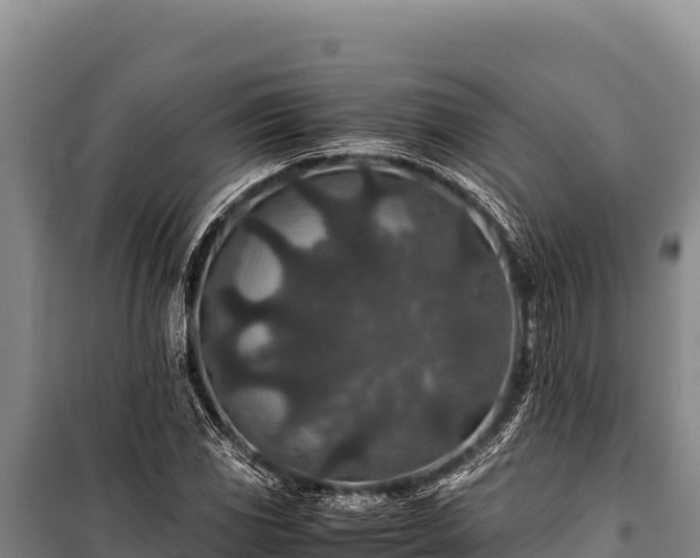 X0000100861117200806271153