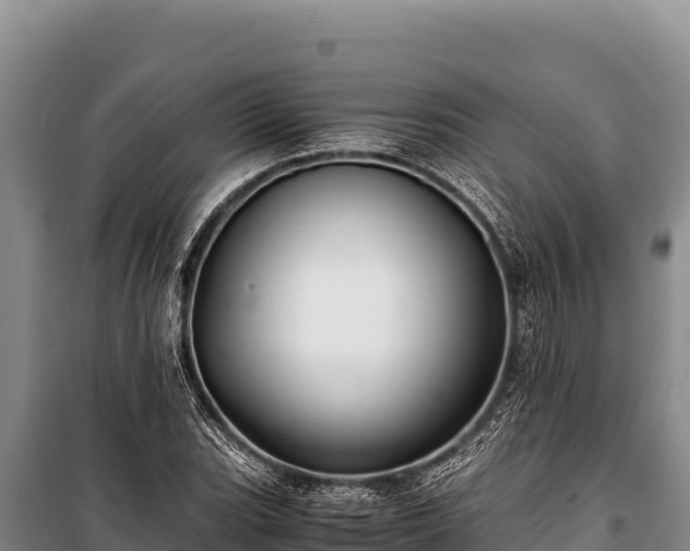 X0000100861119200806271153