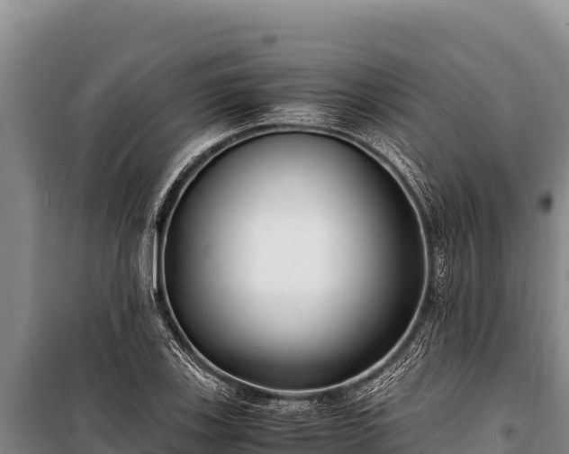 X0000100861123200806271154