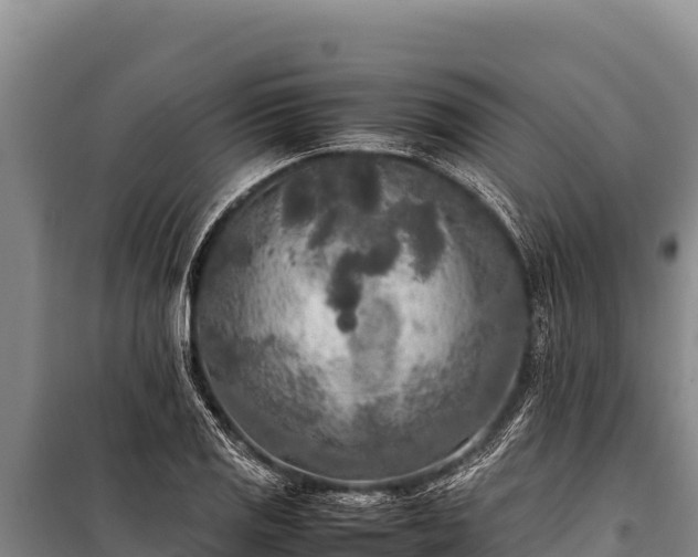 X0000100861125200806271154