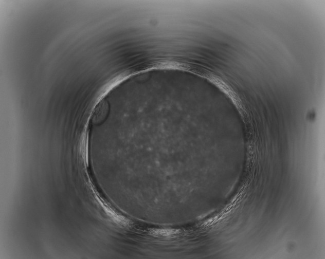 X0000100861127200806271154