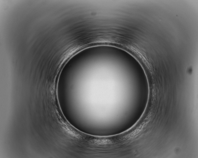 X0000100861129200806271154