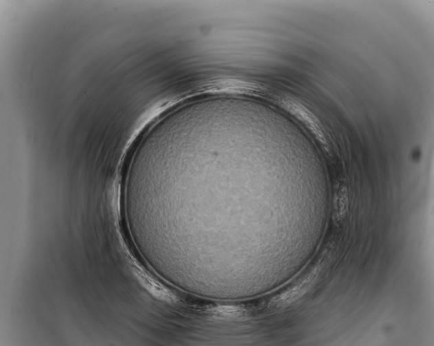 X0000100861130200806271154