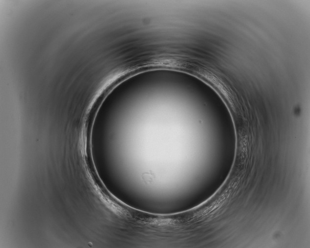 X0000100861131200806271154