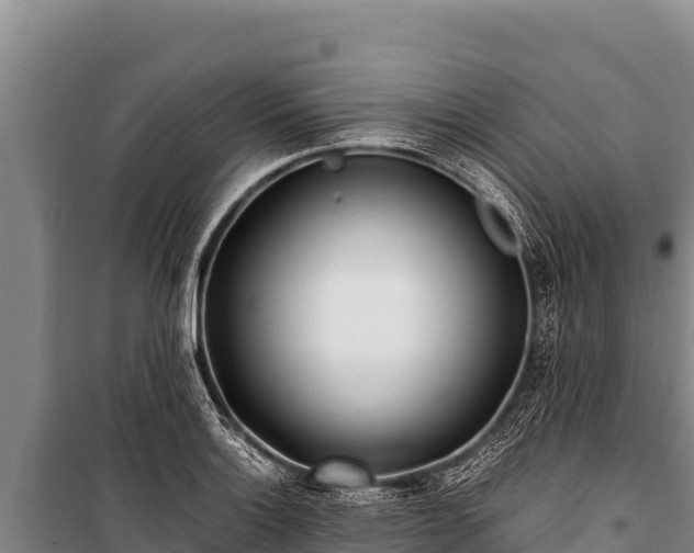 X0000100861132200806271154