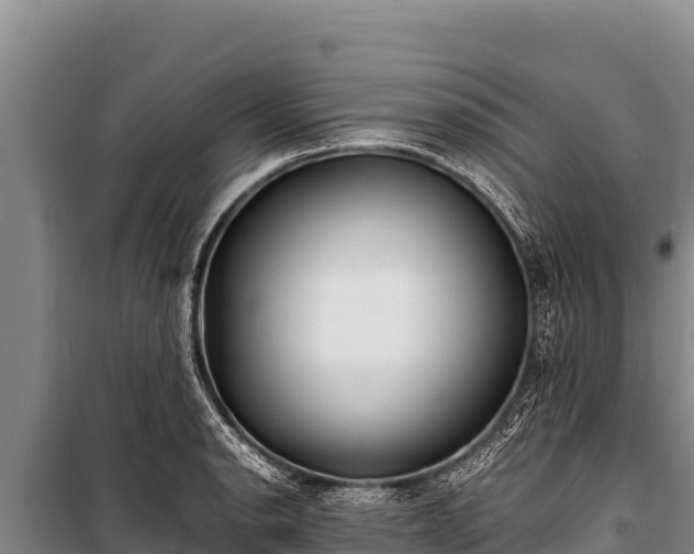 X0000100861134200806271154