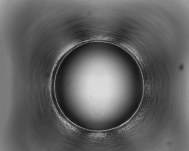 X0000100861135200806271154