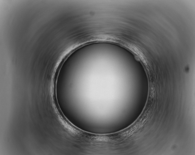 X0000100861136200806271154