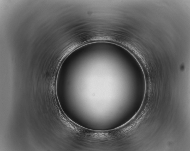 X0000100861137200806271154