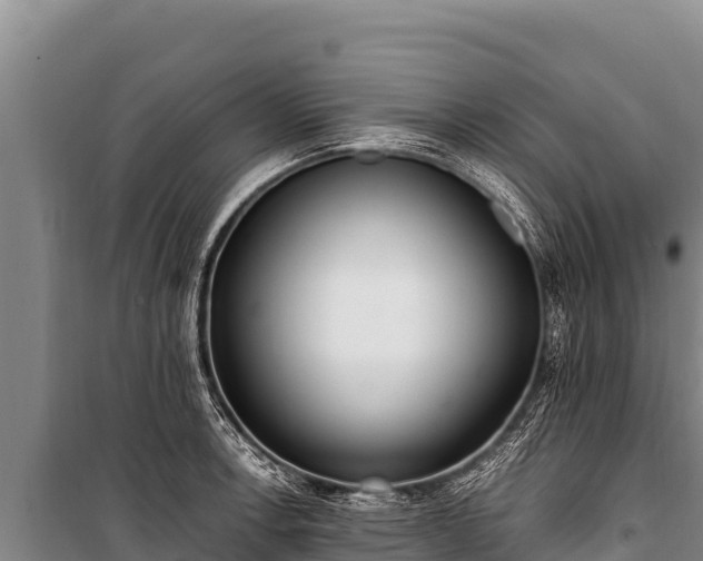 X0000100861138200806271154