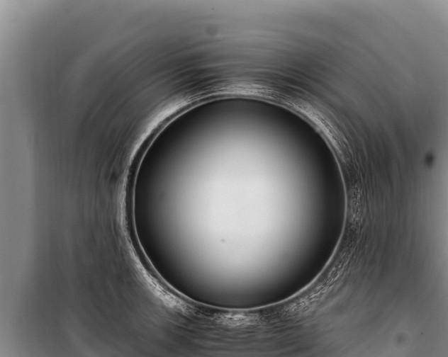 X0000100861139200806271154