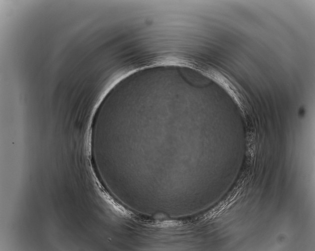 X0000100861140200806271154