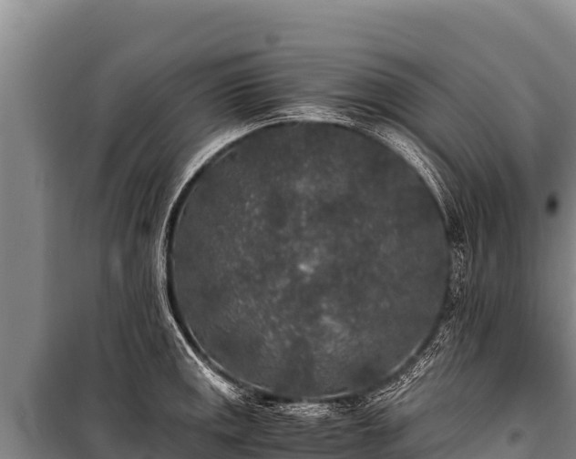 X0000100861141200806271154