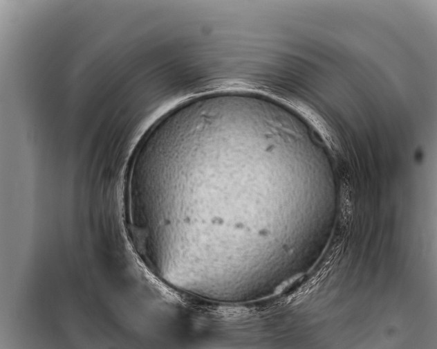 X0000100861142200806271154