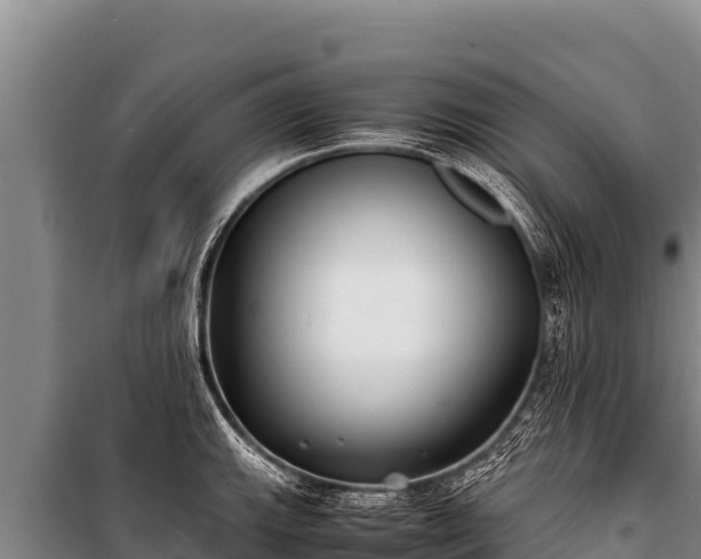 X0000100861143200806271154