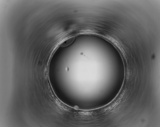 X0000100861145200806271154