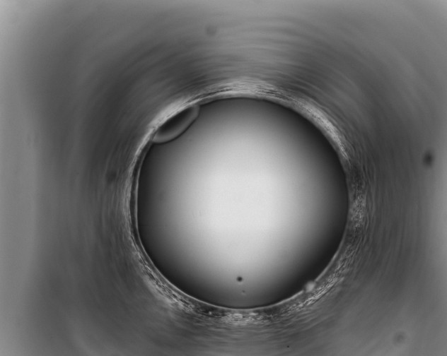 X0000100861146200806271154