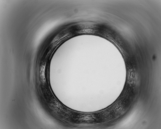 X0000100861150200806271154