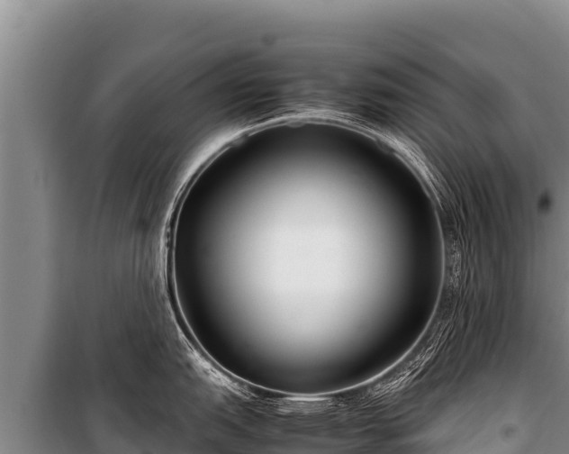 X0000100861151200806271154