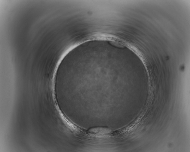 X0000100861152200806271154