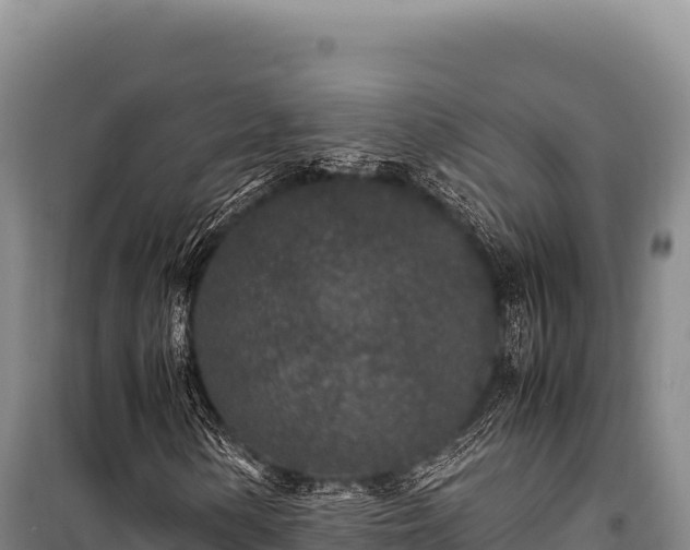 X0000100861154200806271153