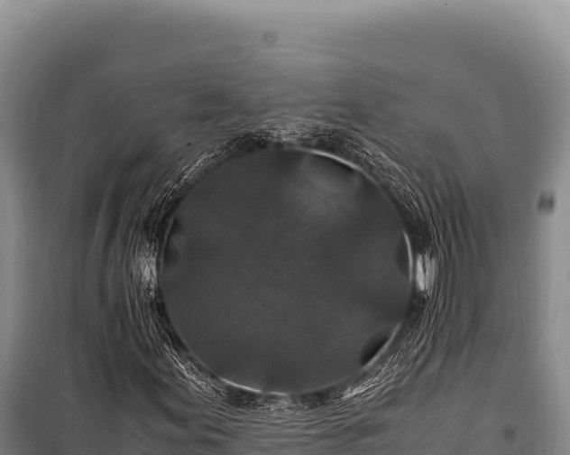 X0000100861155200806271153