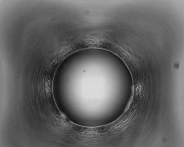 X0000100861156200806271153