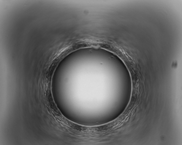 X0000100861157200806271153