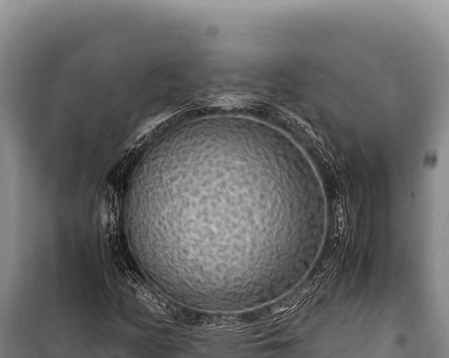 X0000100861158200806271153