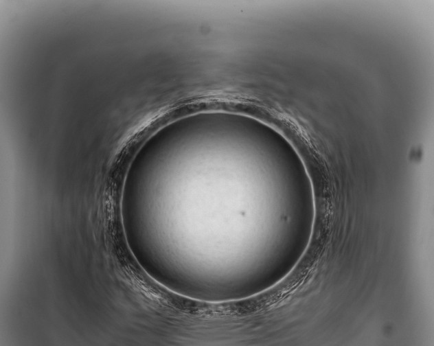 X0000100861159200806271153