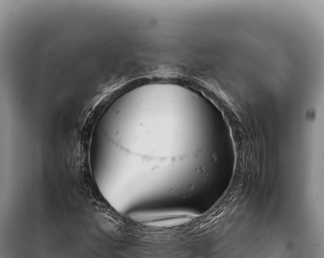 X0000100861160200806271153