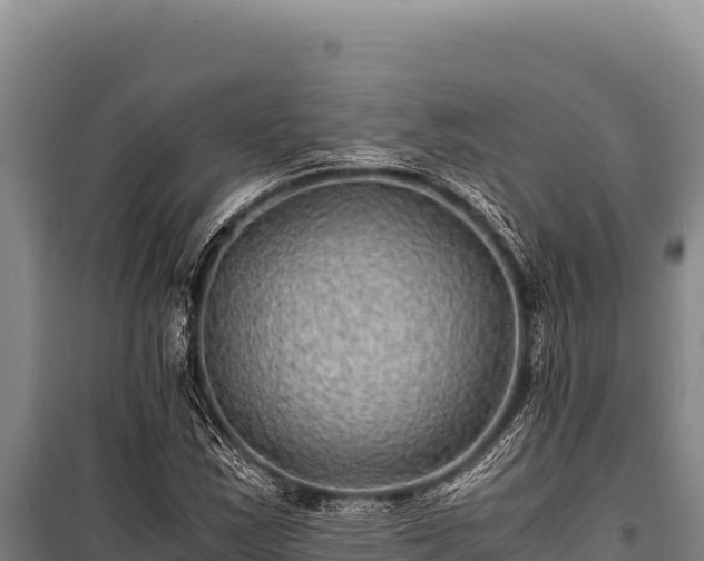 X0000100861163200806271153