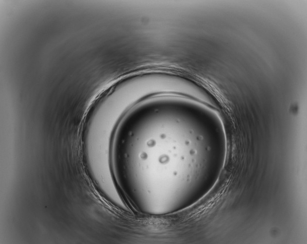 X0000100861164200806271153