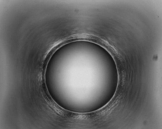 X0000100861166200806271153