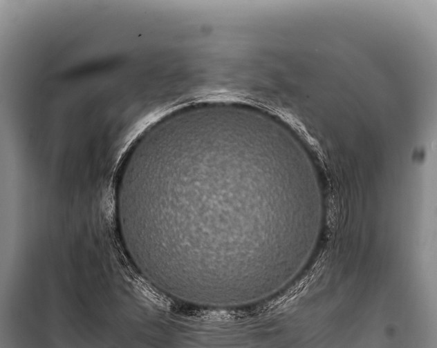 X0000100861167200806271153