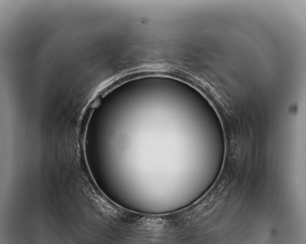 X0000100861168200806271153